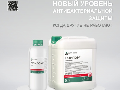 Гатилон