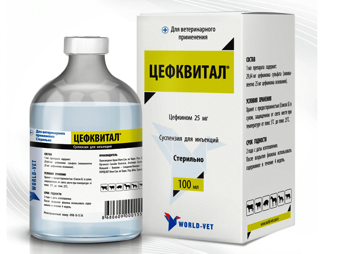 Цефквитал для лечения инфекций дыхательных путей свиней, инфекционных заболеваний конечностей, синдрома ММА