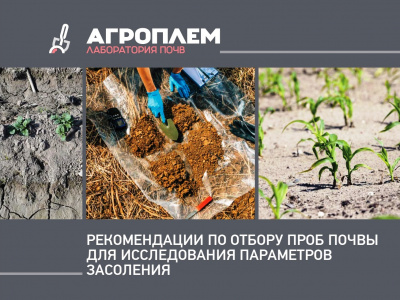 Рекомендации по отбору проб почвы для исследования параметров засоления