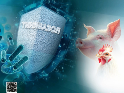 Тинивазол