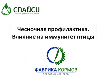 Чесночная профилактика. Влияние на иммунитет птицы