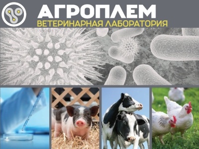 Ветеринарно-диагностическая лаборатория - ветеринарная диагностика