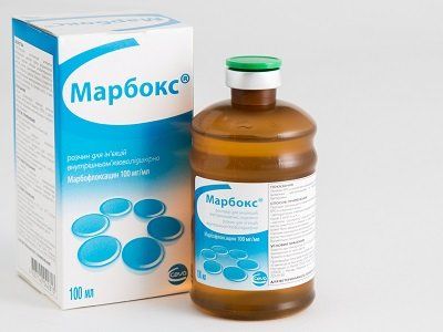 Марбокс против Staphylococcus aureus, Streptococcus agalactiae, Streptococcus dysgalactiae свиней