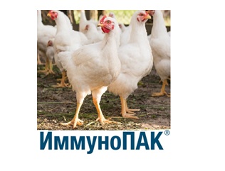 ИммуноПак для усиления иммунного ответа птицы